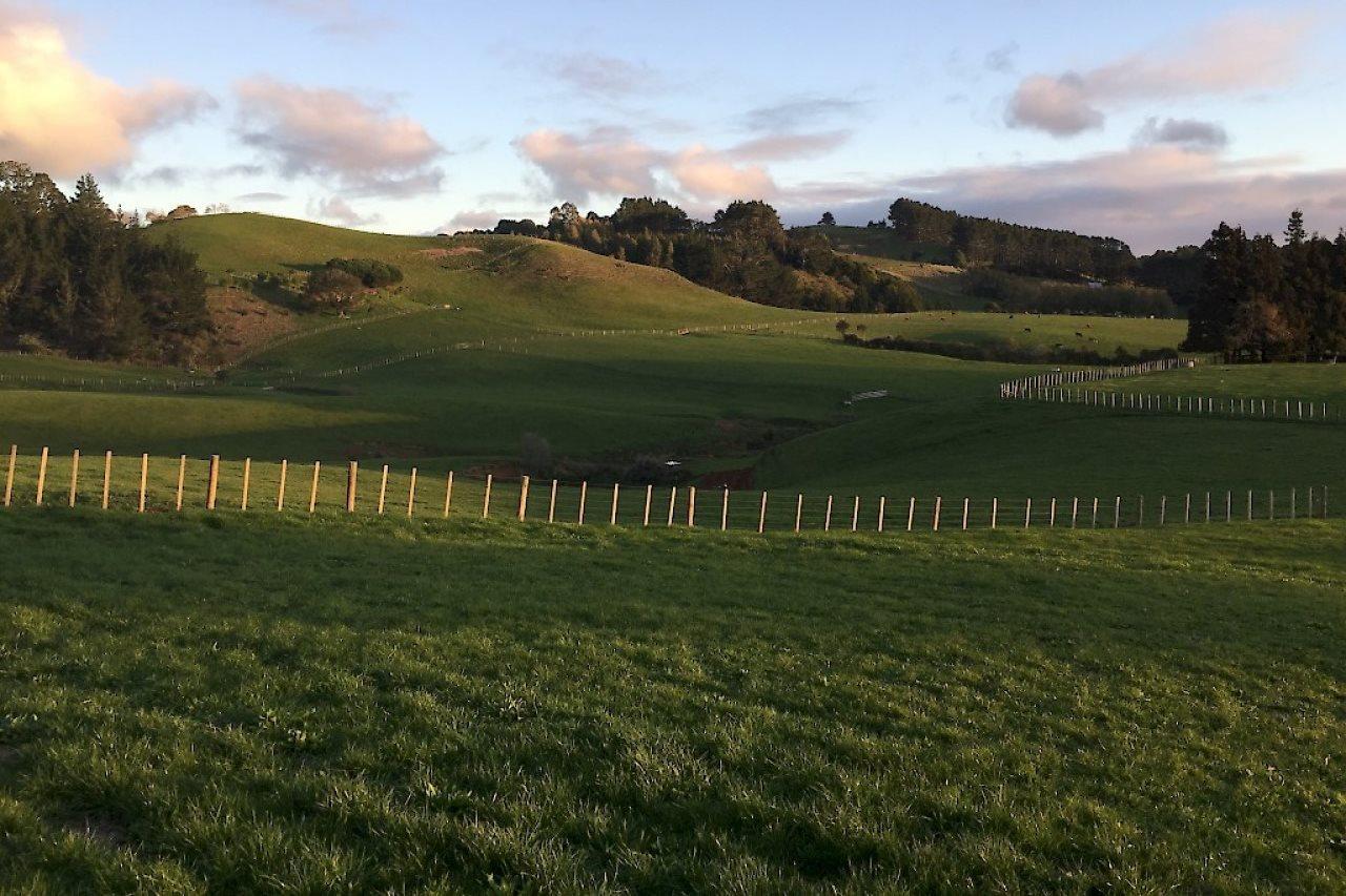 Veld View Bed&Breakfast Tuakau Exterior foto